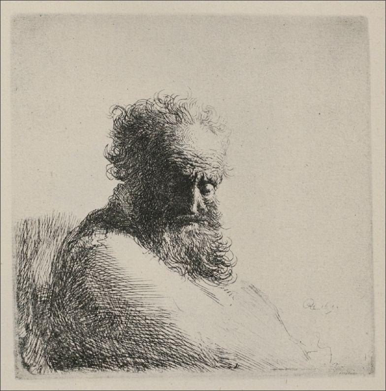 Bust of an Old Man with a Large Beard - Rembrandt