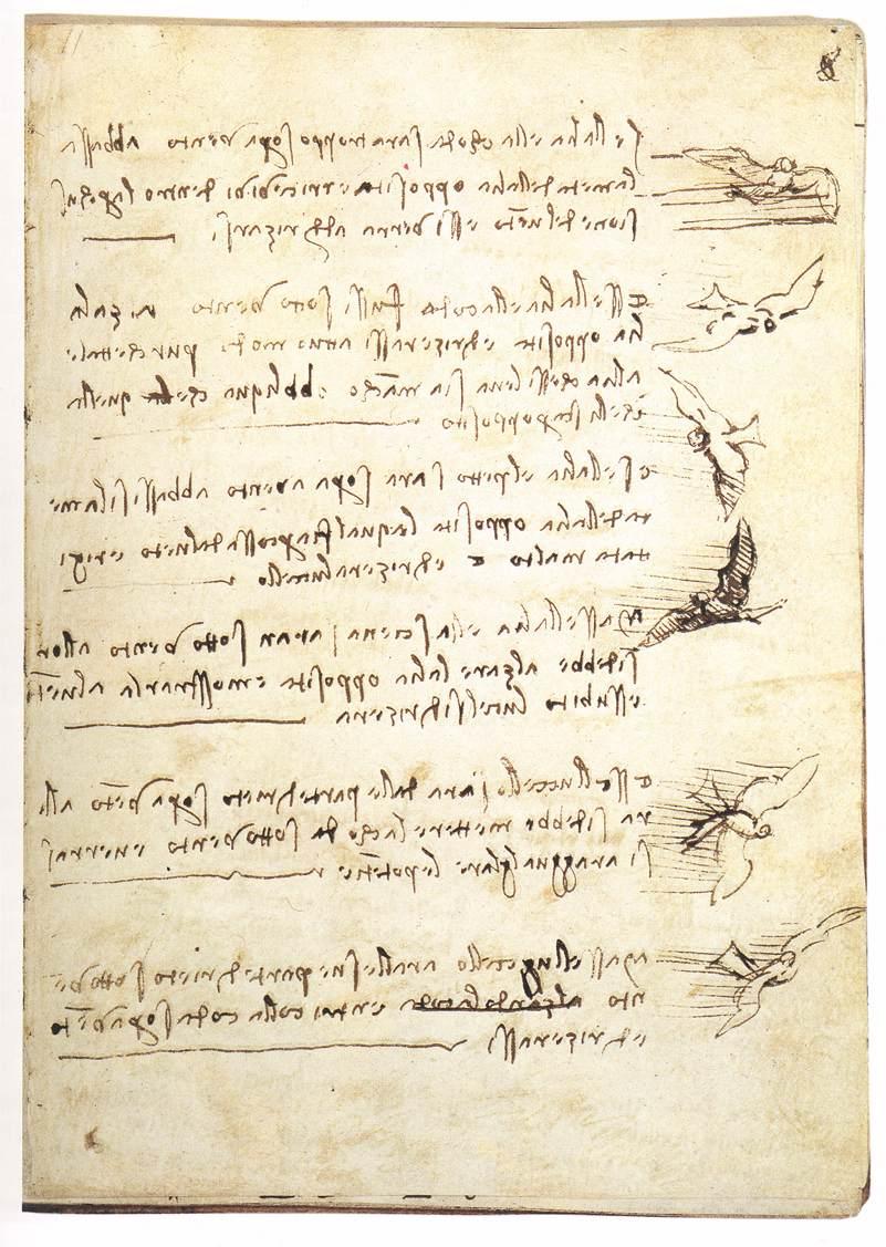 Codex on the flight of birds - Leonardo da Vinci