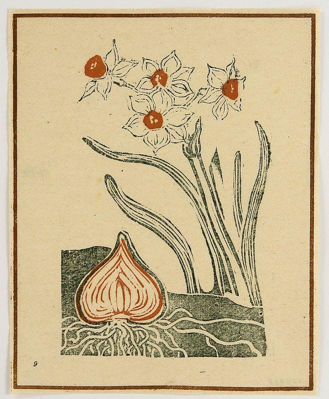 Narcissus - Koshiro Onchi