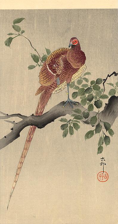 Pheasant on Branch - Ohara Koson