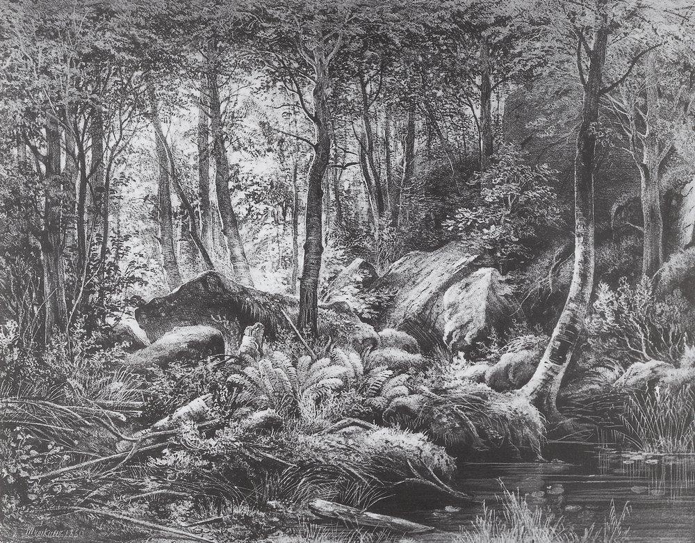 Slums (View on the island of Valaam) - Ivan Shishkin