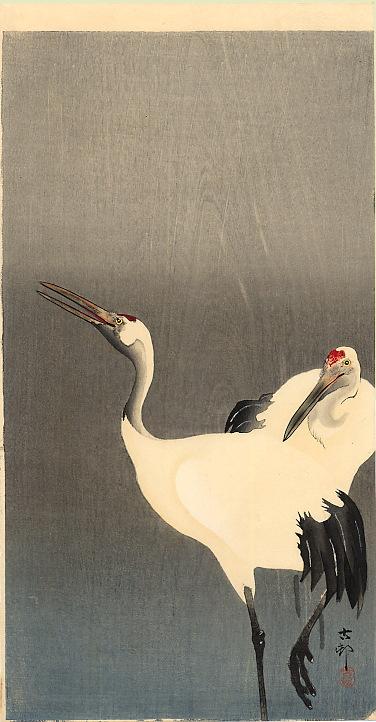 Two white cranes - Ohara Koson