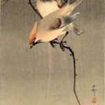 Starlings and Cherry Tree - Ohara Koson